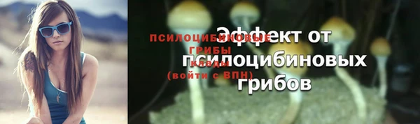 трава Киренск