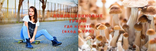 бошки Киреевск