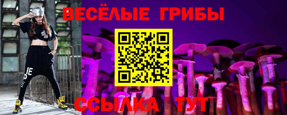 Галлюциногенные грибы мицелий  как найти   Вход с VPN  Михайловск  Псилоцибиновые грибы Cubensis 